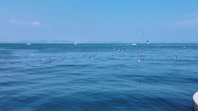 海天一色的壮阔海景