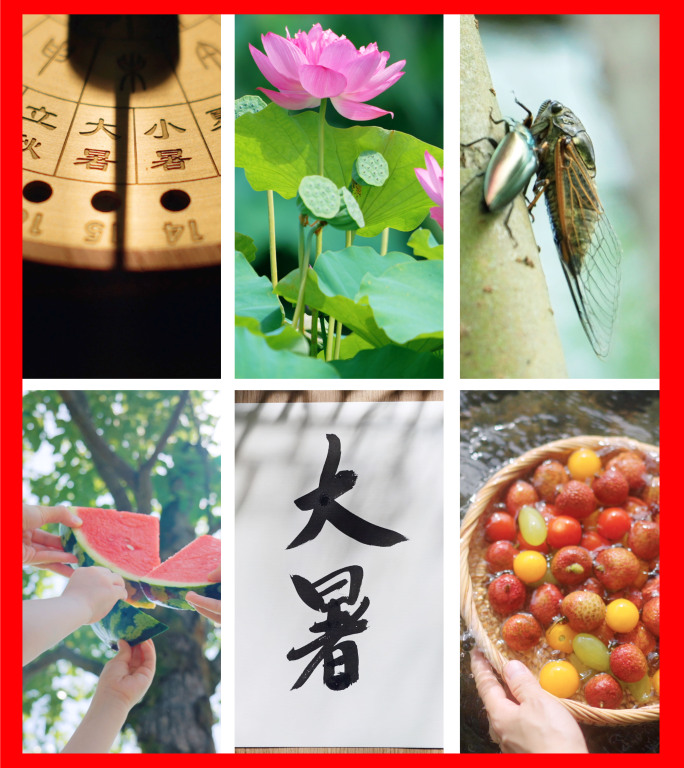 大暑竖版视频 大暑竖屏 大暑节气 夏天
