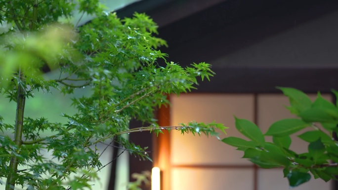 酒店民宿下雨雨季雨后庭院清新宁静空镜