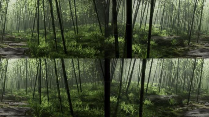 【6kl】竹林