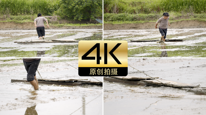农民女性艰难的平田耕种