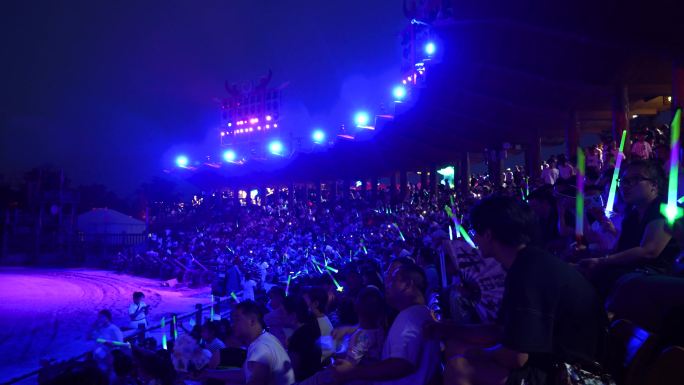 人山人海观众席，挥舞荧光棒