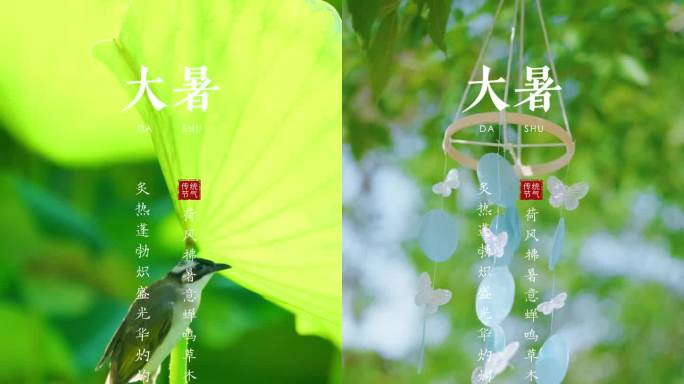 大暑 大暑节气 大暑模版 大暑动态海报
