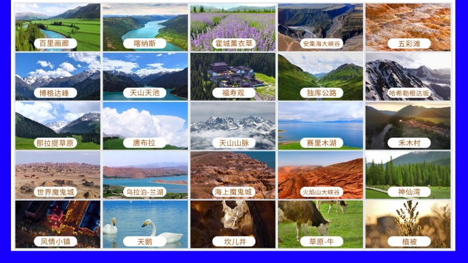 【合集】新疆雪山森林湖泊薰衣草雅丹地貌