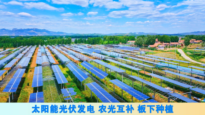 太阳能光伏发电 农光互补 板下种植