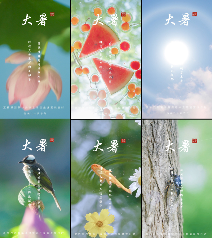 大暑 大暑竖版 模版 夏日 炎热夏天