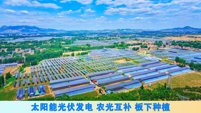 太阳能光伏发电 农光互补 板下种植
