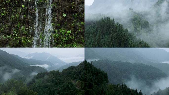 清澈瀑布与翠绿山林山间云雾缭绕的自然风光