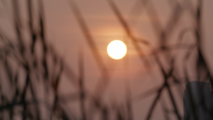湖面日出日落朝阳夕阳暖调情绪