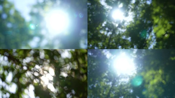 阳光穿透树叶的光斑夏日阳光