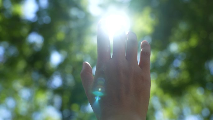 阳光穿透树叶的唯美瞬间夏天阳光树叶光晕