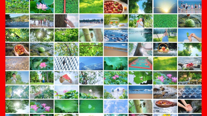 夏天合集 夏天 夏日 夏季 盛夏 清新