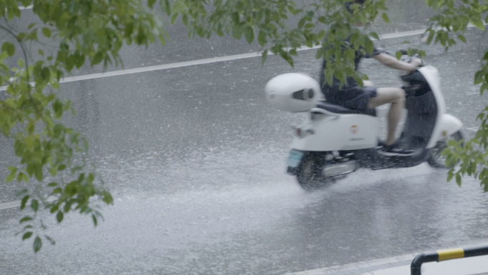 夏天暴雨升格拍摄