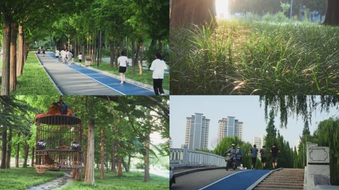 4K30帧可商用公园慢跑休闲生活