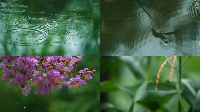 下雨天雨后初晴雨水雨滴水滴的自然景象