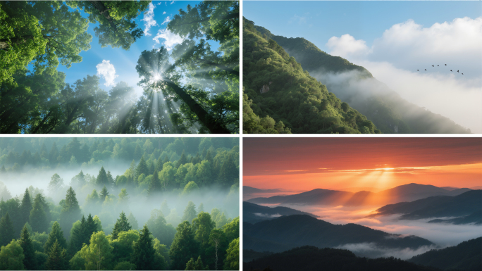 森林航拍大自然小溪山脉生态绿洲氧吧阳光