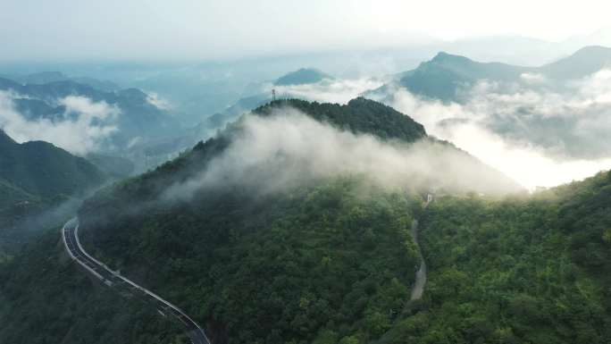森林公路与山间清泉绿意盎然的自然风光