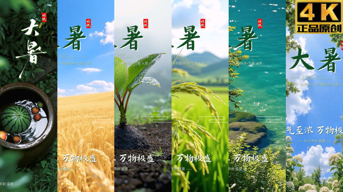 立夏 夏至 小暑 大暑 处暑AE模板