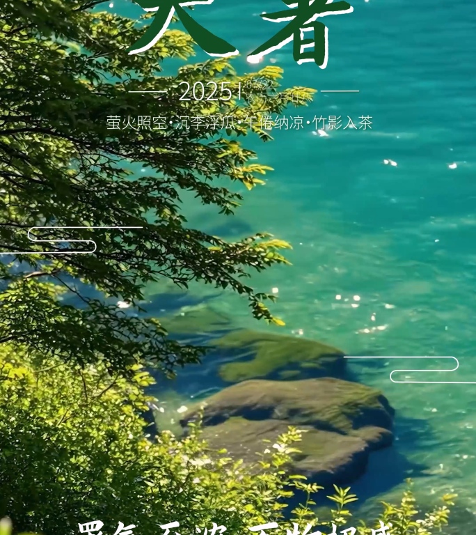 立夏 夏至 小暑 大暑 处暑AE模板