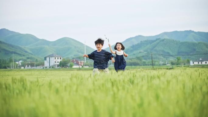 小孩子们麦田中的追逐奔跑