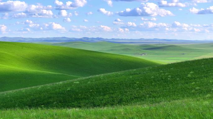 内蒙古乌拉盖大草原 (24)