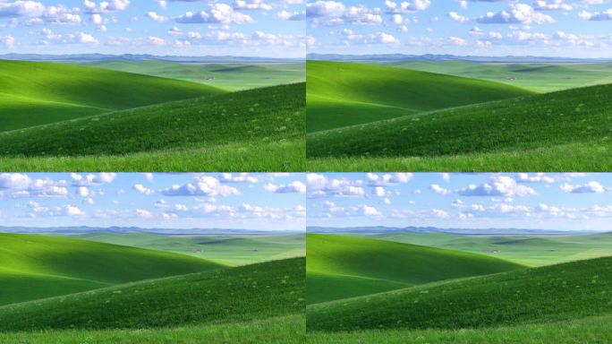 内蒙古乌拉盖大草原 (24)