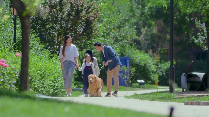 4K美好社区管家物业高档小区文明养犬