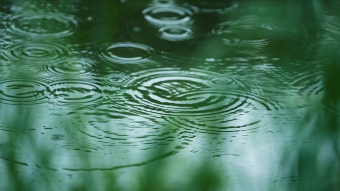 下雨天雨水雨滴下雨水滴滴水雨中水面