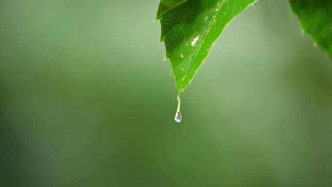 水滴落下瞬间