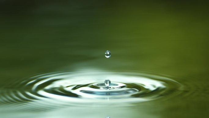 水滴露珠一滴水树叶滴水