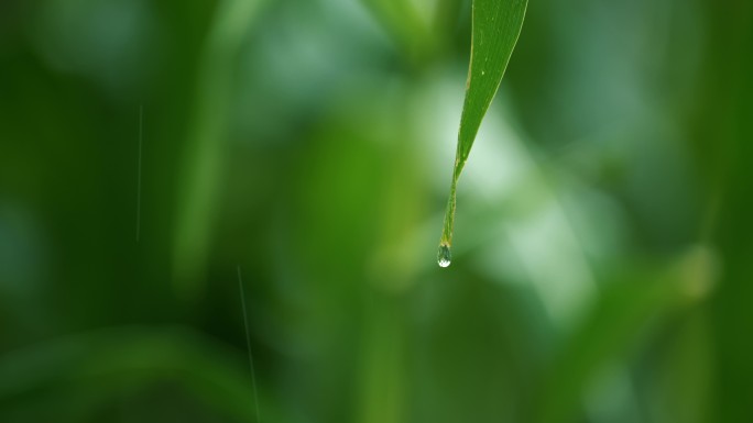 水滴滴落水面