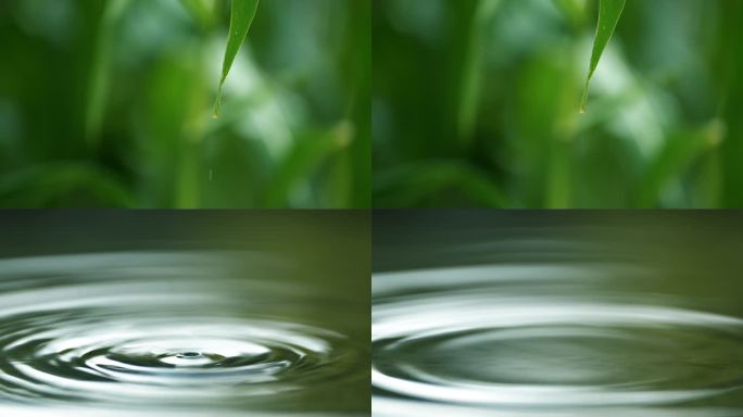 水滴滴落水面