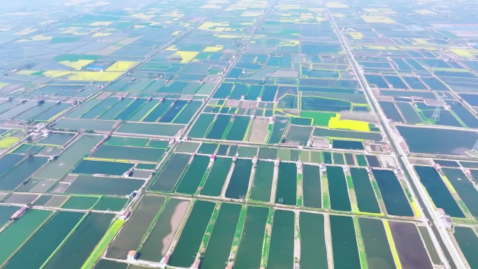 湖北鱼米之乡水产养殖基地航拍