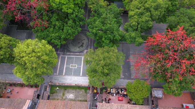 广州聚龙村