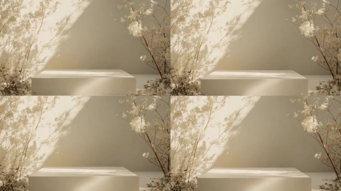简约展台与花卉背景素材