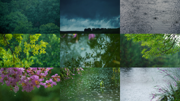 下雨雨天森林雨水雨滴水面涟漪阴天小雨大雨