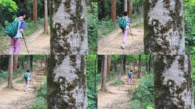 一个男孩背着背包探索大自然。