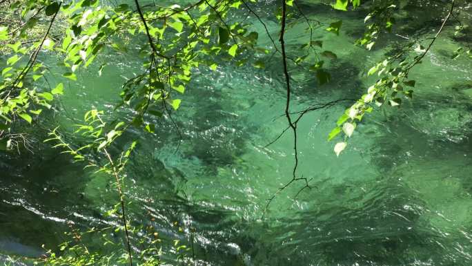 清澈溪流的自然风光