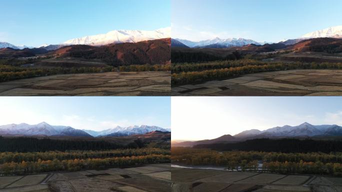 雪山下的秋日田园风光
