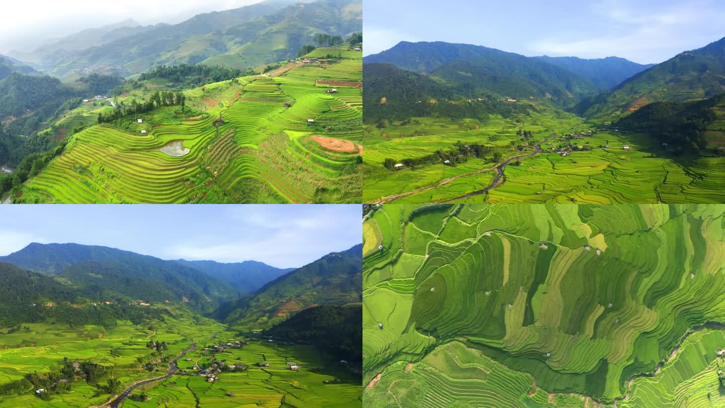 【4K】梯田风光与山峦美景