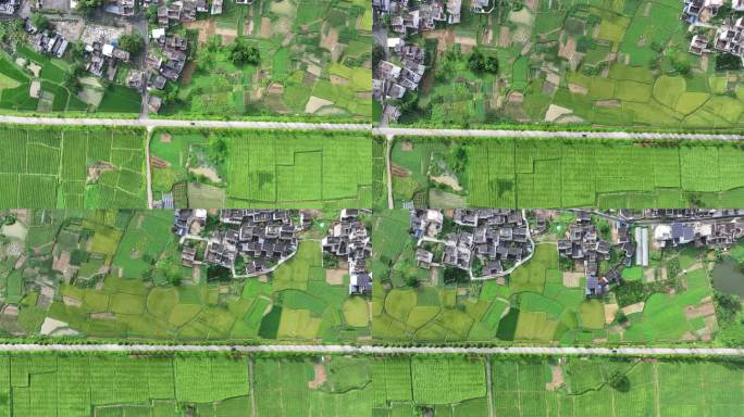 绿色田园风光航拍