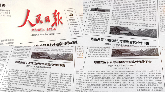 报纸新闻报道报纸排版文章展示