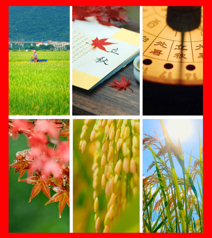 立秋 立秋节气 秋天视频 入秋 秋天 秋