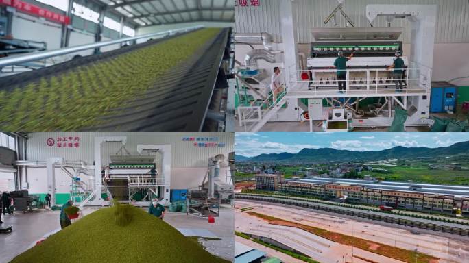 鲁甸砚池山国家花椒交易中心4K高清素材