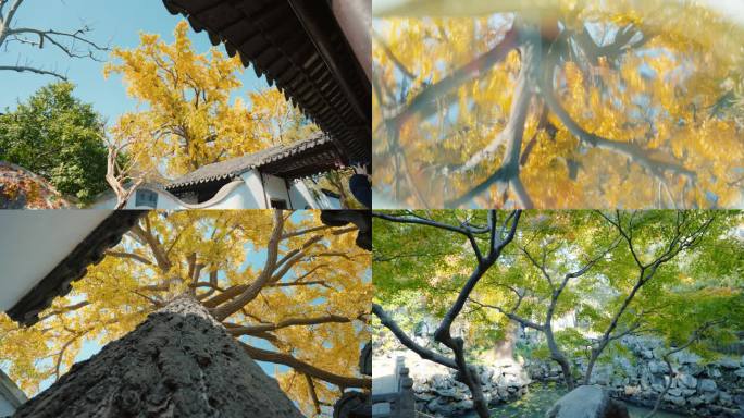 4K怡园 古风园林秋色