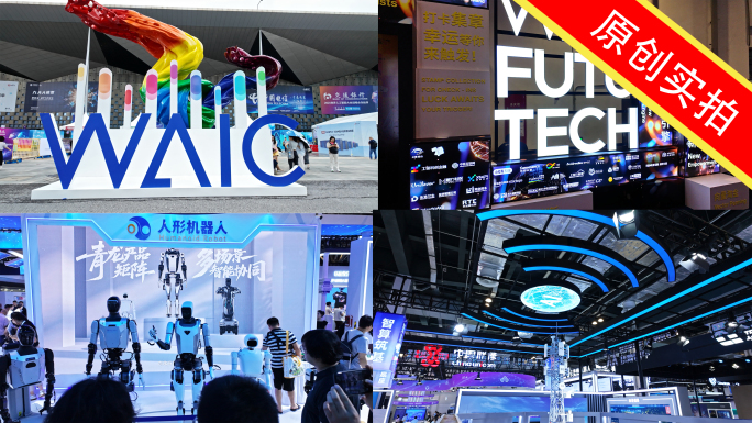 2025世界人工智能大会现场WAIC