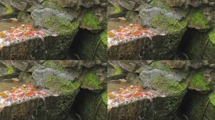 石缝间的清泉流水