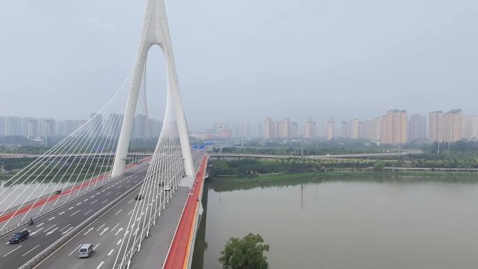 现代化桥梁城市风光