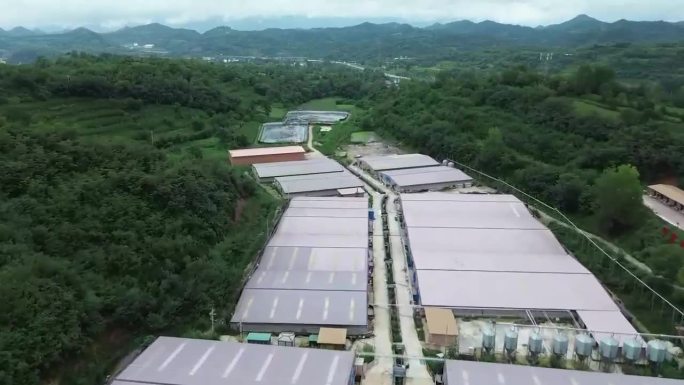 现代化养殖场