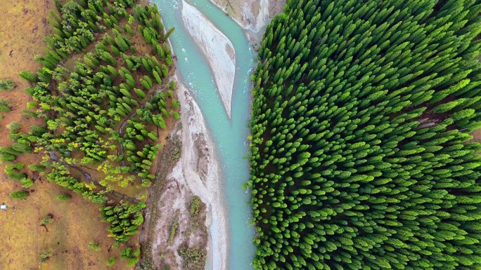 绿色森林河流交织